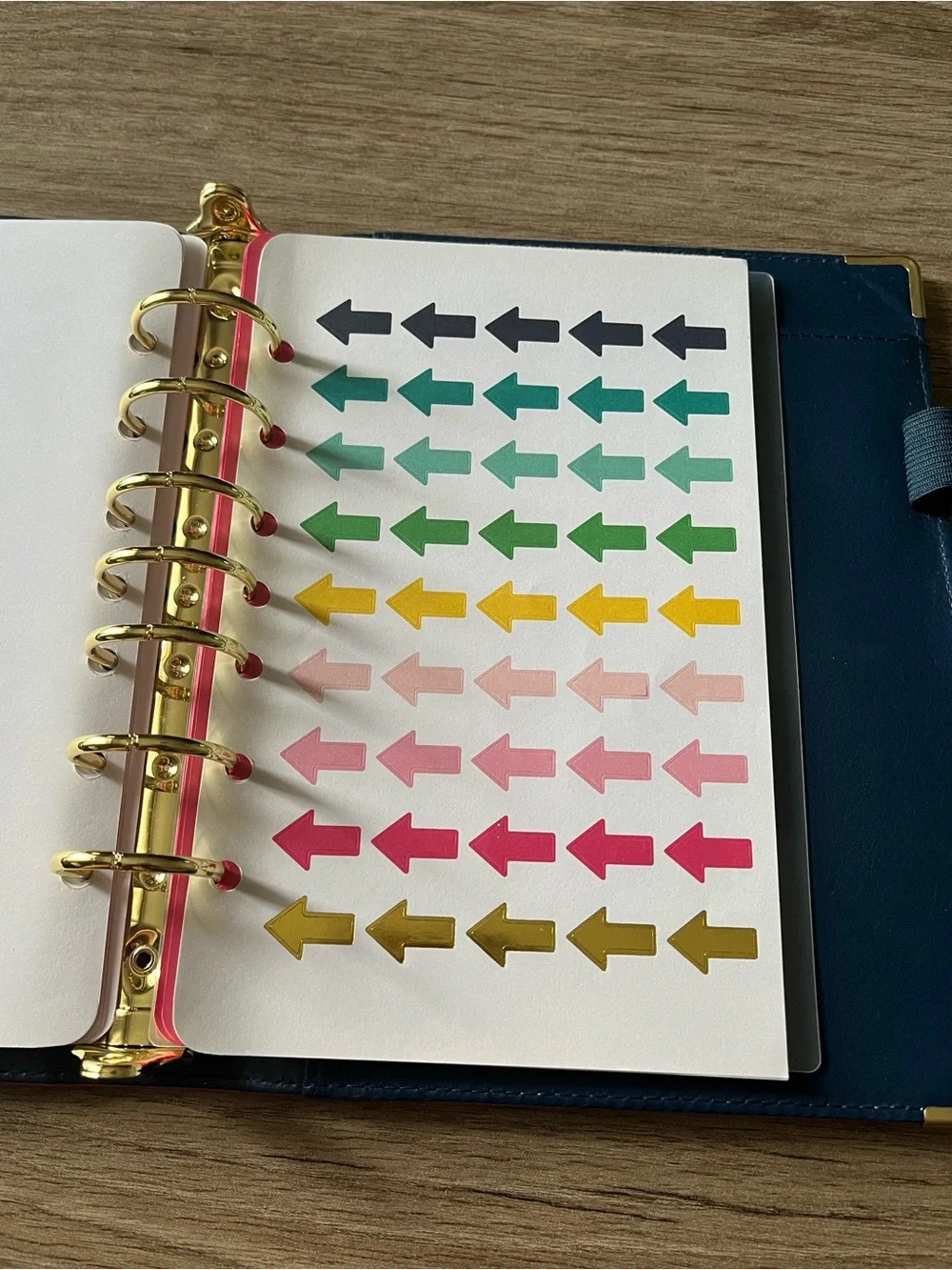 Emily Ley Happy Stripe Faux Pebbled Leather 7 Ring Planner Organizer Cover